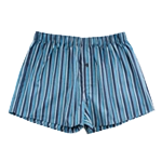 Ropa interior masculina