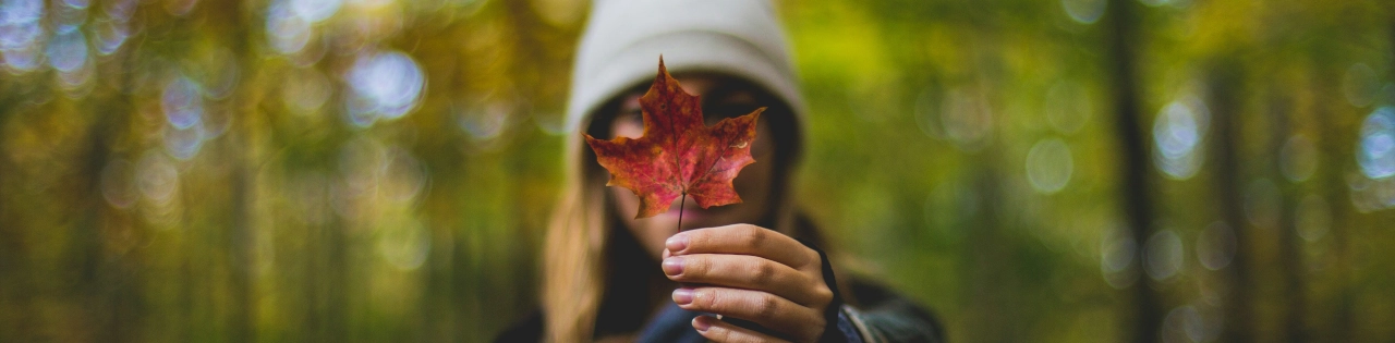 Estilo Canadiense: 14 Marcas de Ropa Definiendo la Moda Ética